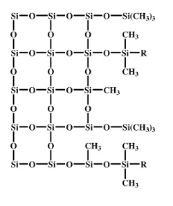 SiliaChrom XT and XT Fidelity Structure